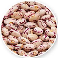 Sugar Beans